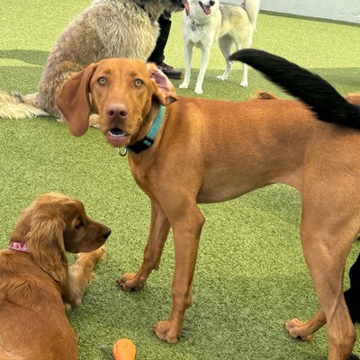 Pepper's photo from 2025-08-19