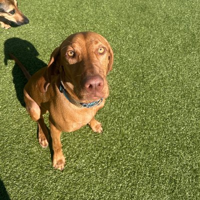 Pepper's photo from 2025-08-22