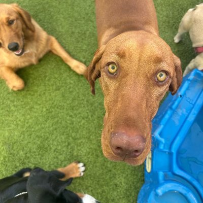 Pepper's photo from 2025-09-10