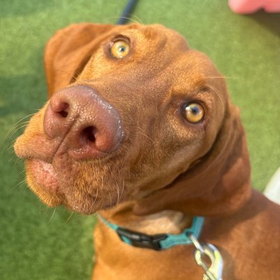 Pepper's photo from 2025-09-12