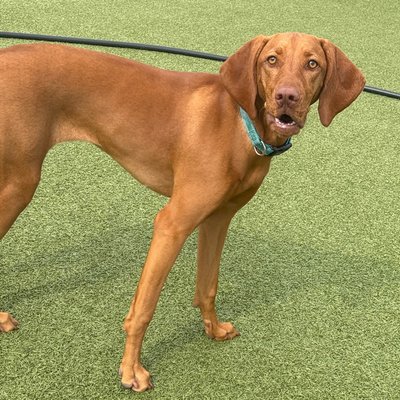 Pepper's photo from 2025-09-15