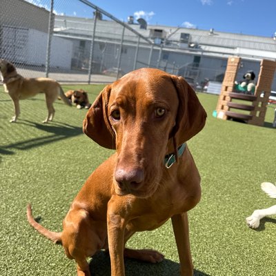 Pepper's photo from 2025-09-26