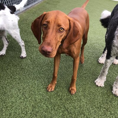 Pepper's photo from 2025-09-29