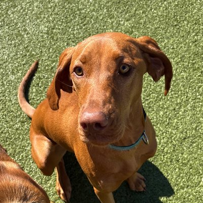 Pepper's photo from 2025-10-03