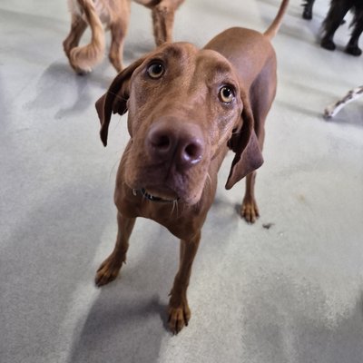 Pepper's photo from 2025-10-14