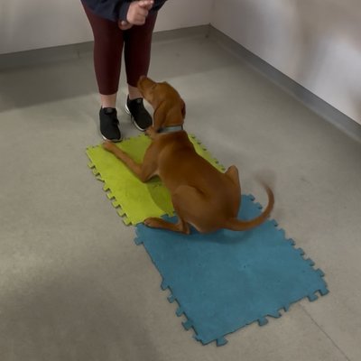 Pepper's photo from 2025-10-15