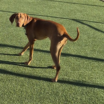 Pepper's photo from 2025-10-20