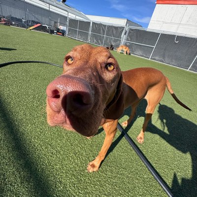 Pepper's photo from 2025-10-24