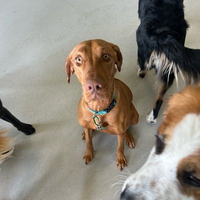 Pepper's photo from 2025-11-03