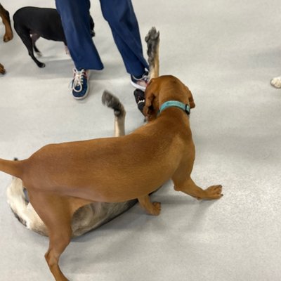 Pepper's photo from 2025-11-05