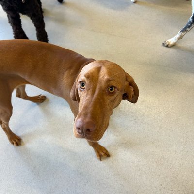 Pepper's photo from 2025-11-10