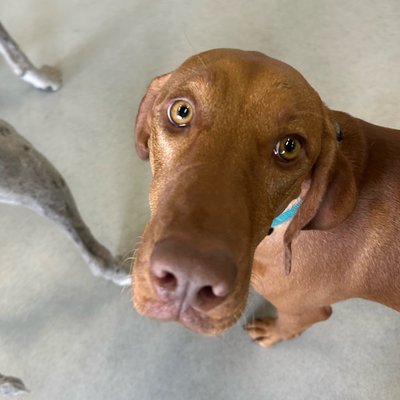 Pepper's photo from 2025-11-12