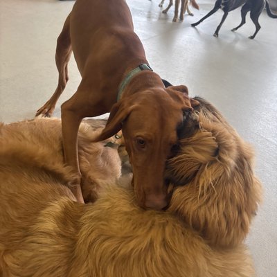 Pepper's photo from 2025-11-14