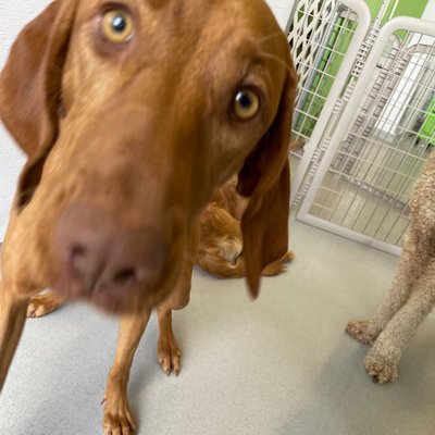 Pepper's photo from 2025-11-17