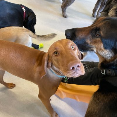 Pepper's photo from 2025-11-19