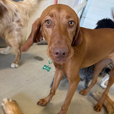 Pepper's photo from 2025-11-21