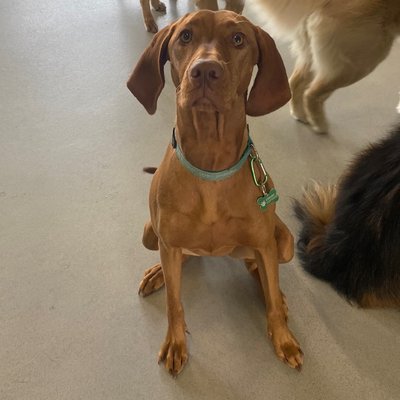 Pepper's photo from 2025-11-24