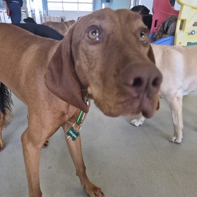 Pepper's photo from 2025-11-26