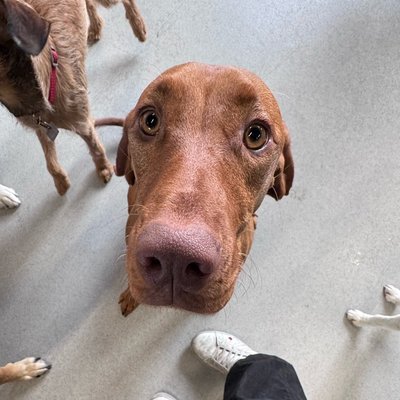 Pepper's photo from 2025-11-28