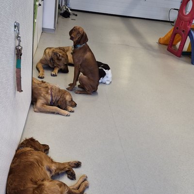 Pepper's photo from 2025-12-01