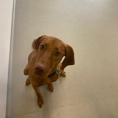 Pepper's latest photo from 2025-12-05