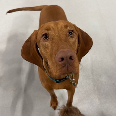 Pepper's latest photo from 2025-12-13