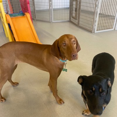 Pepper's photo from 2025-12-16