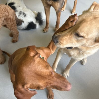 Pepper's photo from 2026-01-06