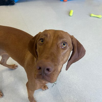 Pepper's photo from 2026-01-09