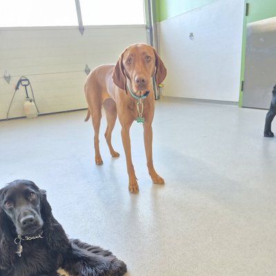 Pepper's photo from 2026-01-13