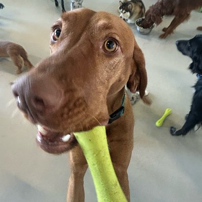 Pepper's photo from 2026-01-23