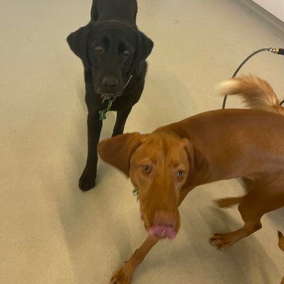 Pepper's photo from 2026-01-27