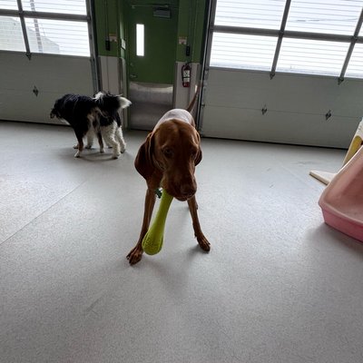 Pepper's photo from 2026-01-30