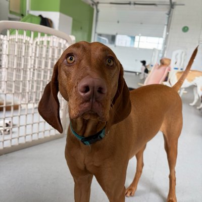 Pepper's latest photo from 2026-03-31