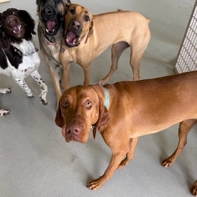 Pepper's latest photo from 2026-04-07