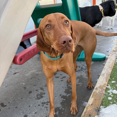 Pepper's latest photo from 2026-04-10