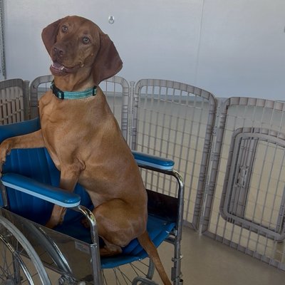 Pepper's latest photo from 2026-04-17