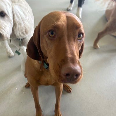 Pepper's latest photo from 2026-04-24