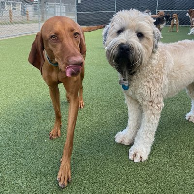 Pepper's latest photo from 2026-04-28