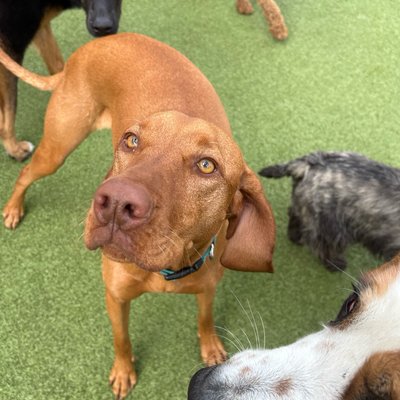 Pepper's latest photo from 2026-05-04