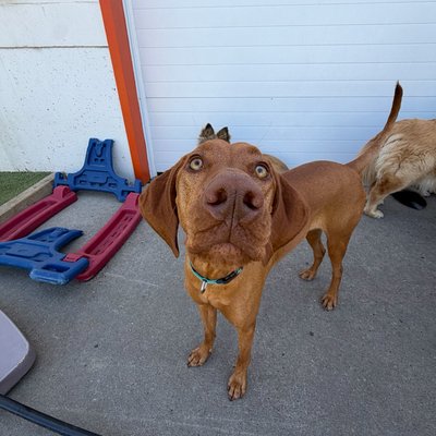 Pepper's photo from 2026-05-29